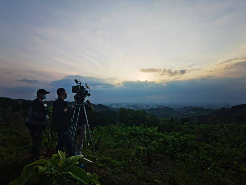 聚焦叶县产品宣传视频拍摄公司，用专业实力铸就品牌传播传奇