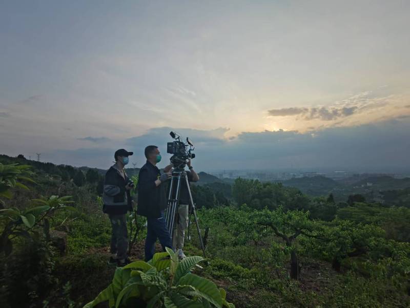 创意破圈！叶县电商产品宣传视频用故事化叙事引爆流量
