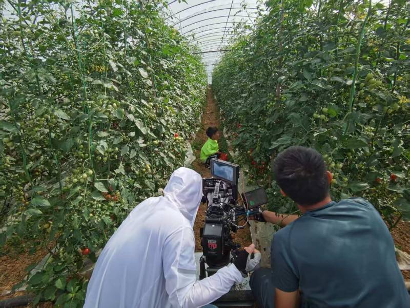 叶县产品宣传视频拍摄公司进阶指南，助力品牌抢占传播高地